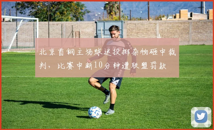 北京首钢主场球迷投掷杂物砸中裁判，比赛中断10分钟遭联盟罚款