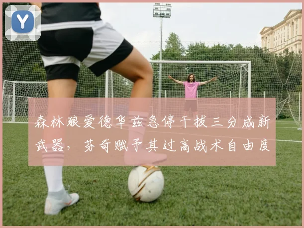森林狼爱德华兹急停干拔三分成新武器，芬奇赋予其过高战术自由度引隐患